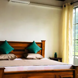 Barefoot Auberge de jeunesse